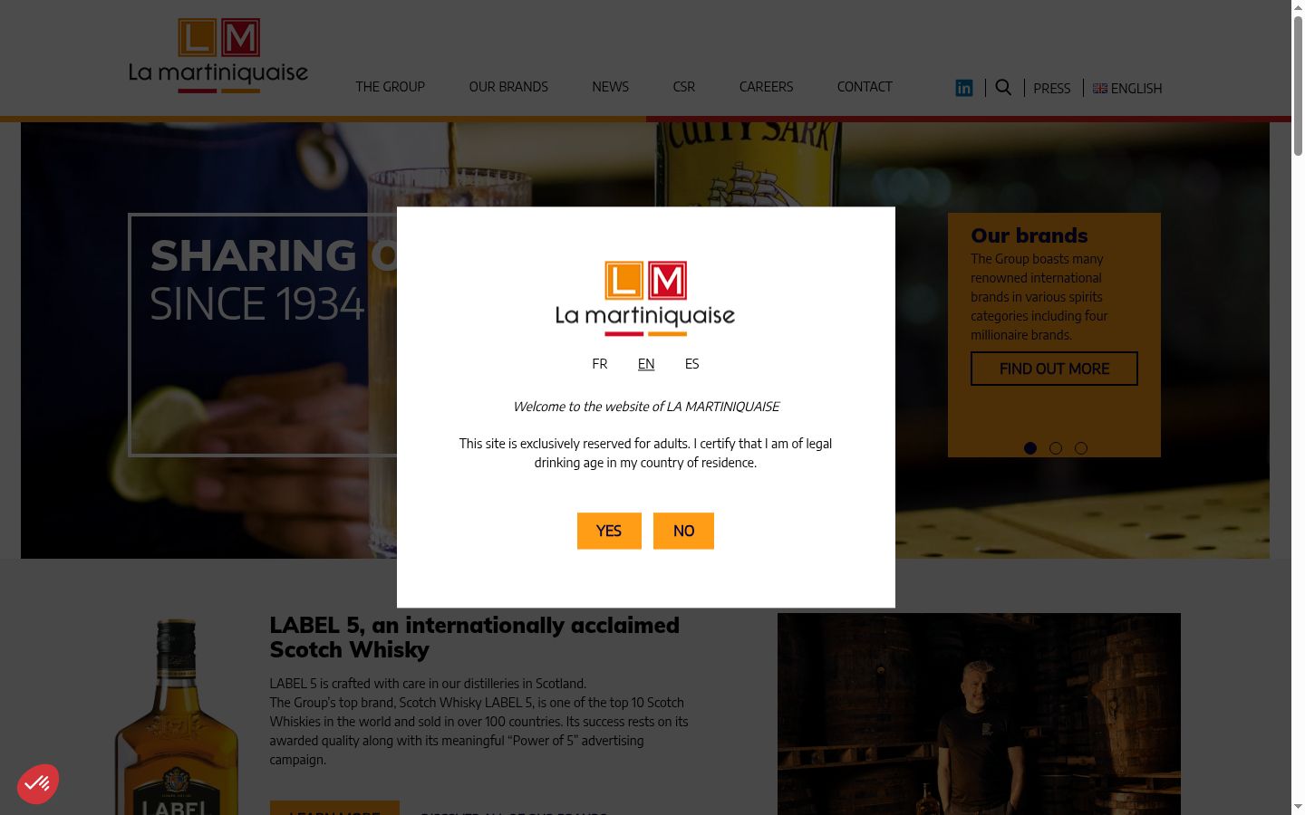 Screenshot of the consent banner shown before any interaction