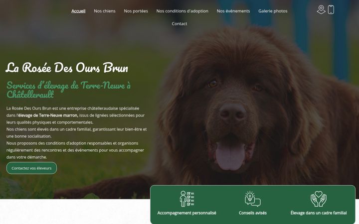 Screenshot of la-rosee-des-ours-brun.fr
