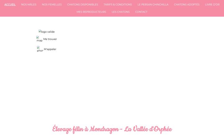 Screenshot of la-valee-dorphee-elevage-persan.fr