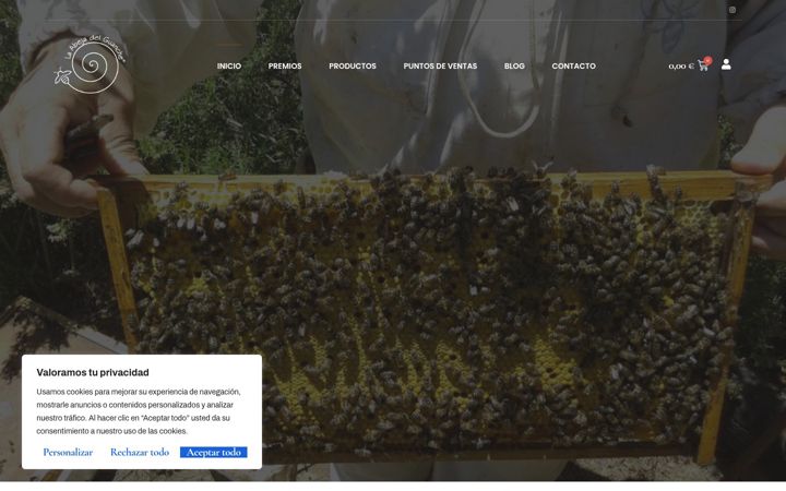 Screenshot of laabejadelguanche.com