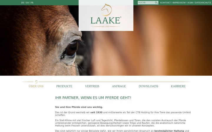Screenshot of laake.com