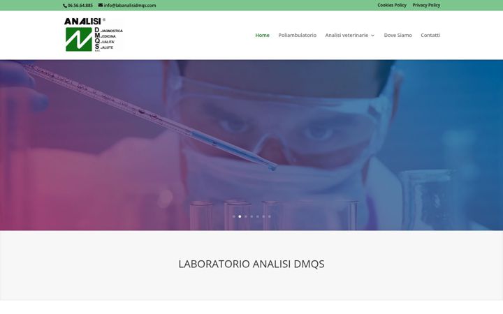 Screenshot of labanalisidmqs.com