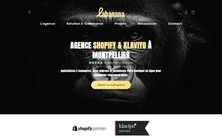 Screenshot of labanana.fr