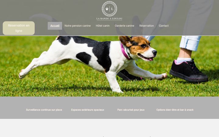Screenshot of labandealoulou.fr