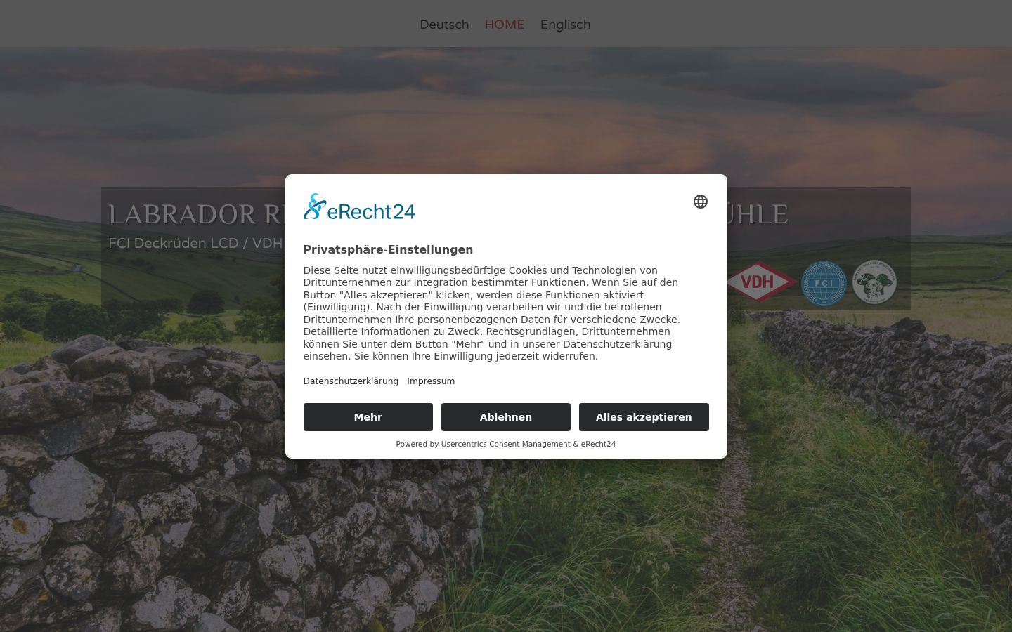 Captura de ecrã do banner de consentimento apresentado antes de qualquer interação