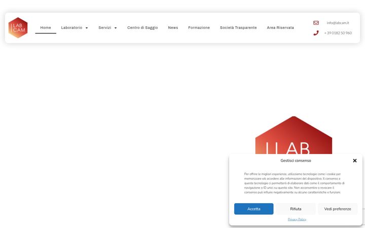 Screenshot of labcam.it