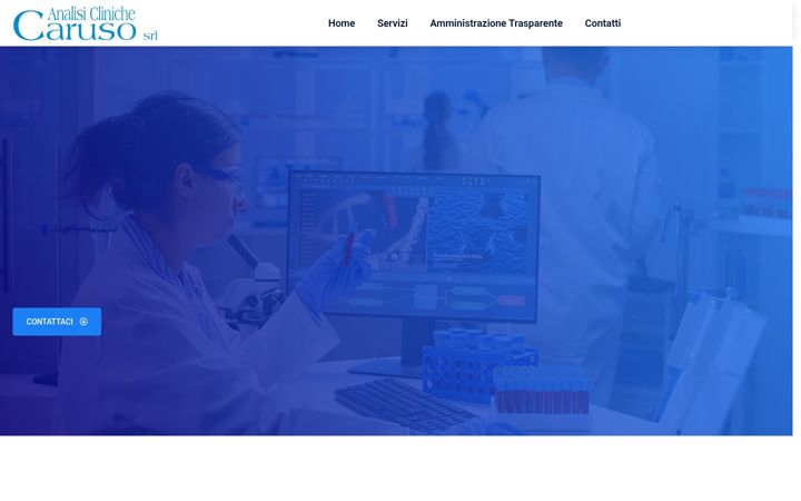 Screenshot of labcaruso.it