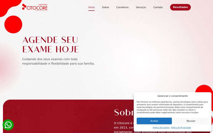 Screenshot of labcitocore.com.br