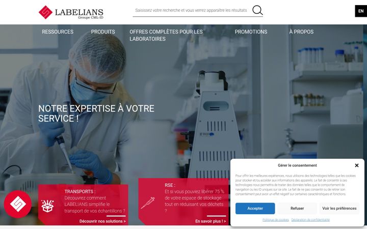 Screenshot of labelians.fr