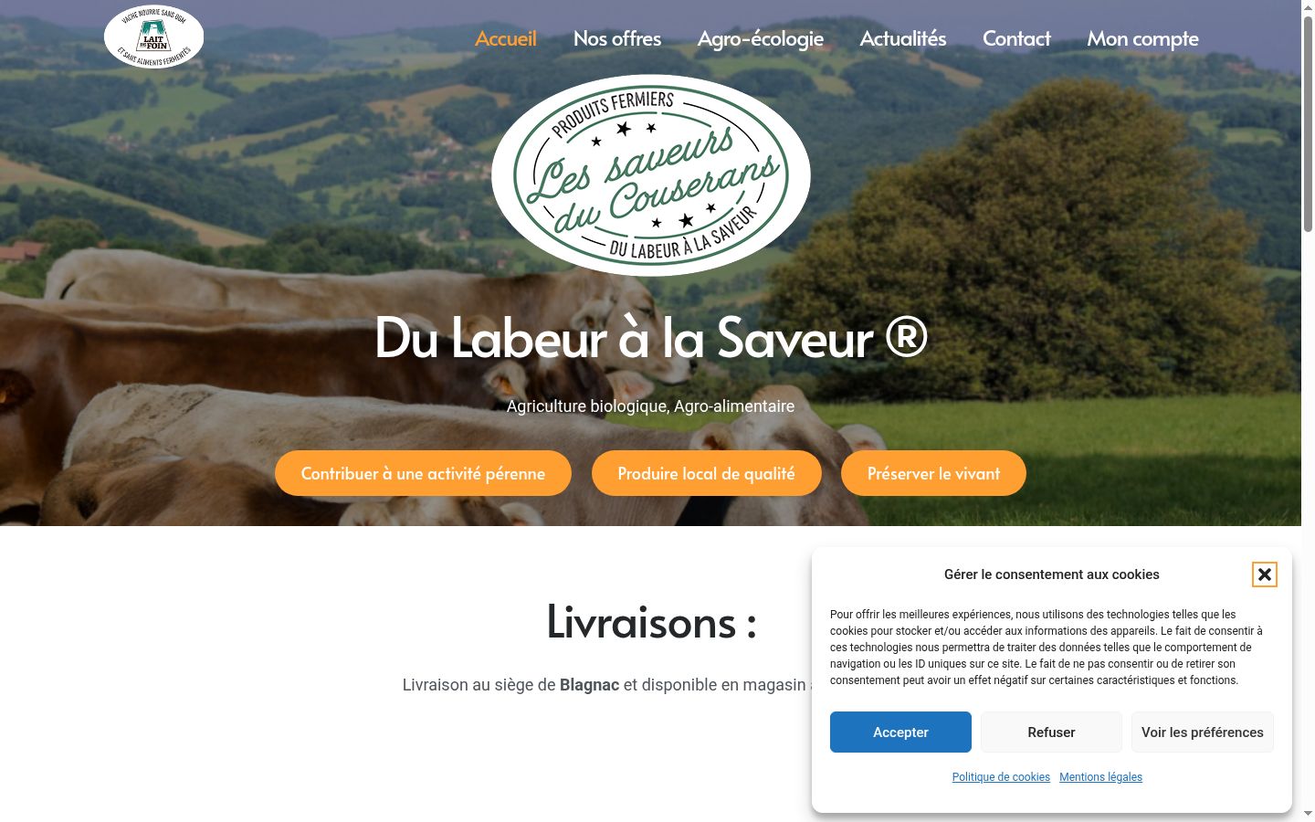 Screenshot tal-banner tal-kunsens muri qabel kwalunkwe interazzjoni