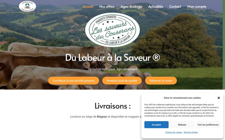 Screenshot of labeur-saveur.com