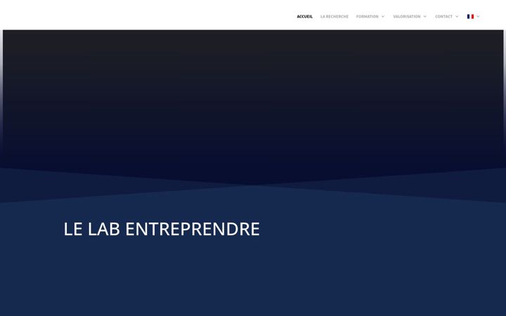 Screenshot of labex-entreprendre.fr