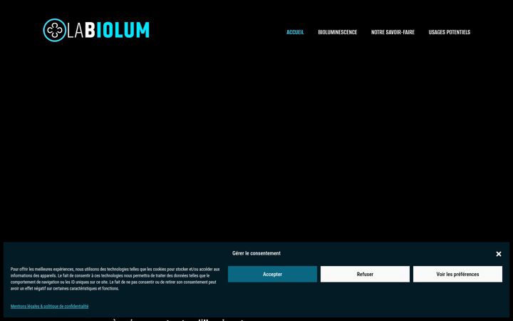 Screenshot of labiolum.com