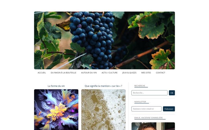 Screenshot of labivin.net