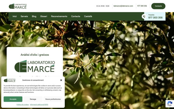 Screenshot of labmarce.com