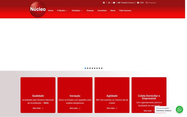 Screenshot of labnucleo.com.br