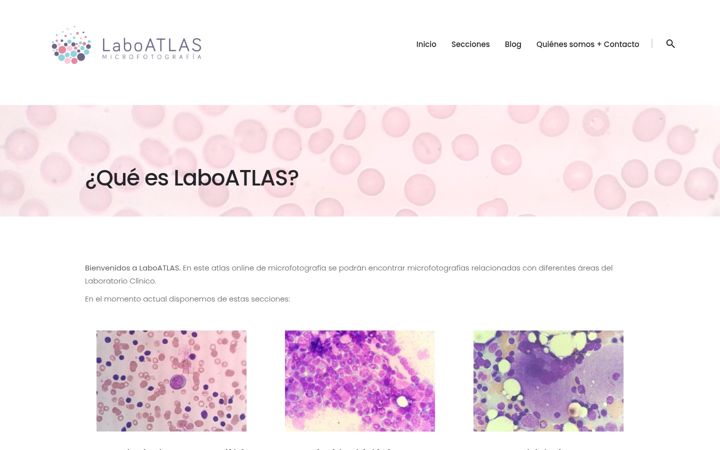Screenshot of laboatlas.com
