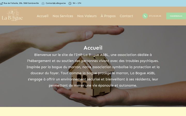 Screenshot of labogue.be