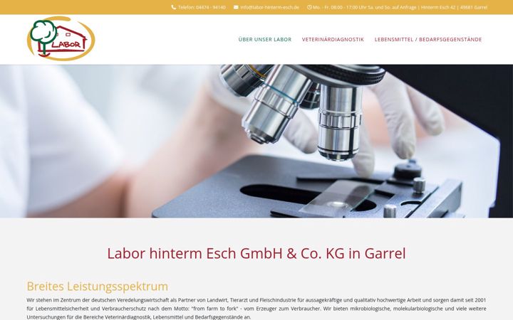 Screenshot of labor-hinterm-esch.de