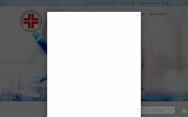 Screenshot of laboratorioanalisisrl.it