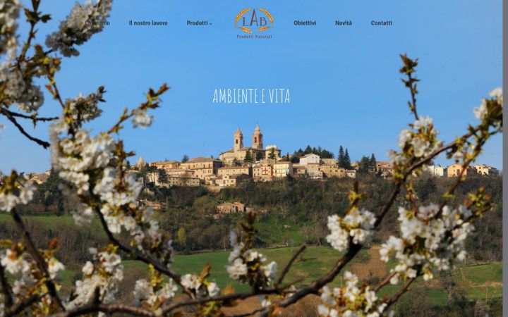 Screenshot of laboratorioartigianalebiscotti.it
