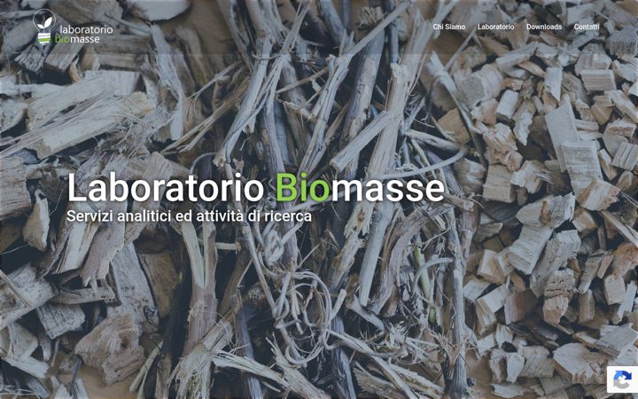 Screenshot of laboratoriobiomasse.it