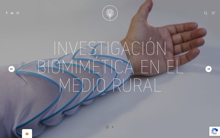 Screenshot of laboratoriobiomimetico.com