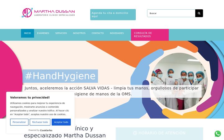 Screenshot of laboratoriodussan.com