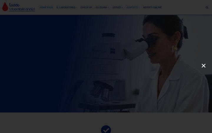 Screenshot of laboratorioloddo.it