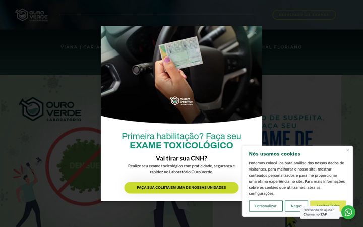 Screenshot of laboratorioouroverde.com.br