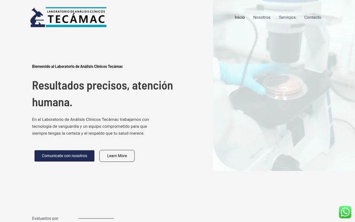 Screenshot of laboratoriotecamac.com