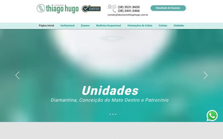 Screenshot of laboratoriothiagohugo.com.br