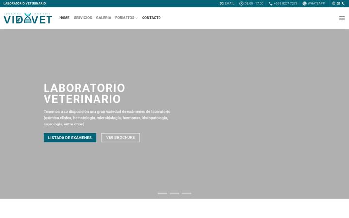 Screenshot of laboratoriovidavet.cl