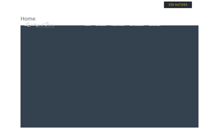 Screenshot of labottegadiomero.it