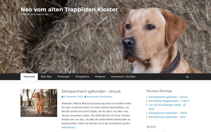 Screenshot of labrador-neo.de