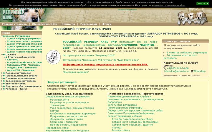 Screenshot of labrador.ru