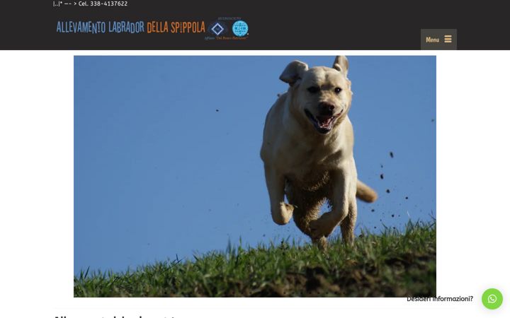 Screenshot of labradordellaspippola.it