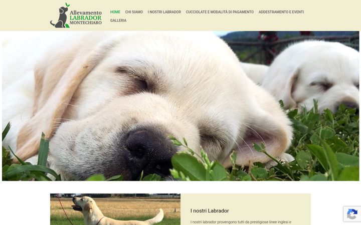 Screenshot of labradordimontechiaro.it