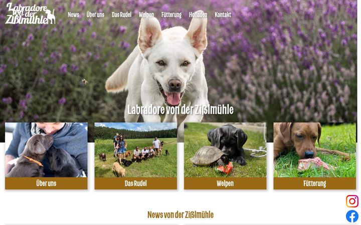 Ekrano kopija labradore-zisslmuehle.de