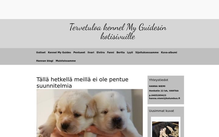 Screenshot of labradorit.org