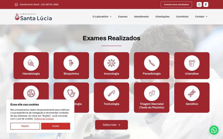 Screenshot of labsantaluciabarbacena.com.br