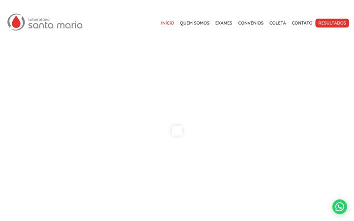 Screenshot of labsantamariarr.com.br