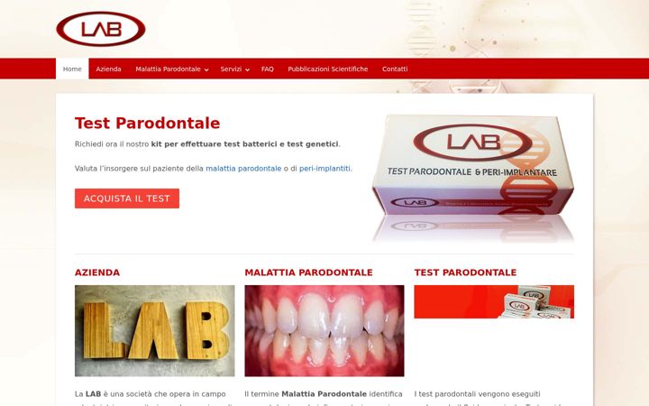 Screenshot of labsrl.com