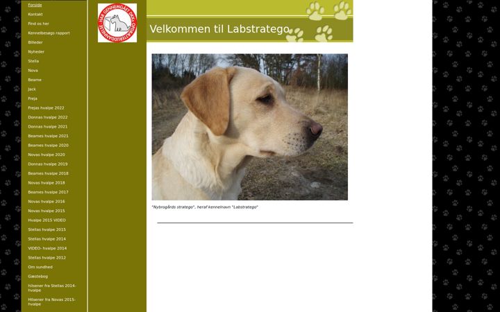 Screenshot of labstratego.dk