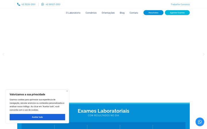 Screenshot of labvicentino.com.br