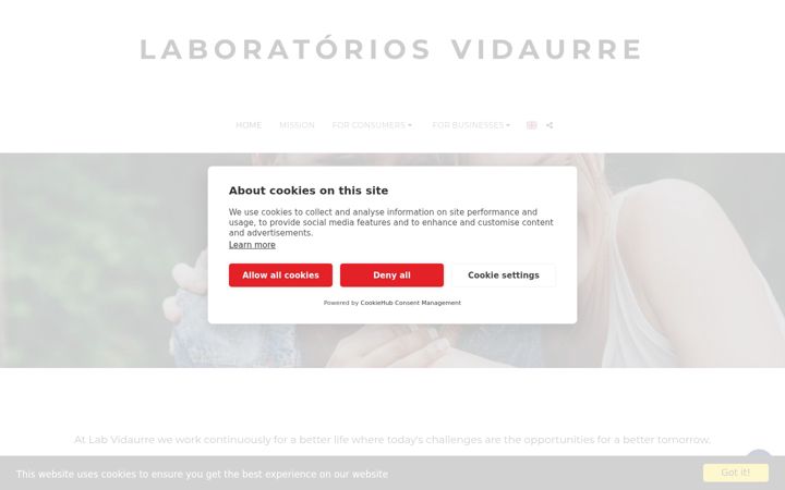 Screenshot of labvidaurre.com