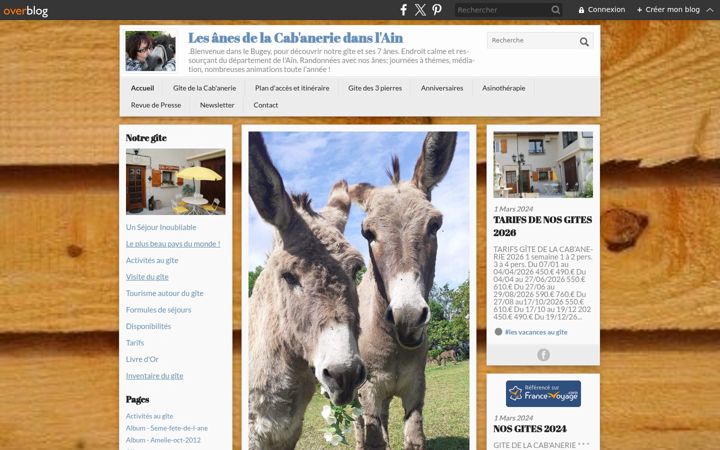Screenshot of lacabanerie.net