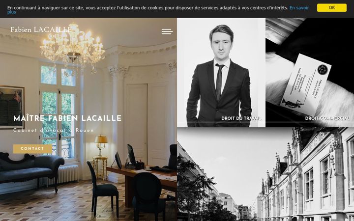 Screenshot of lacaille-avocat.net