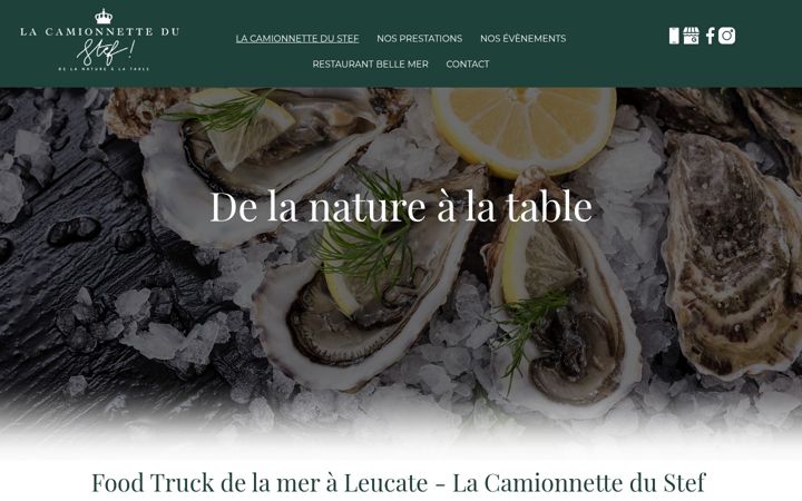 Screenshot of lacamionnettedustef.fr