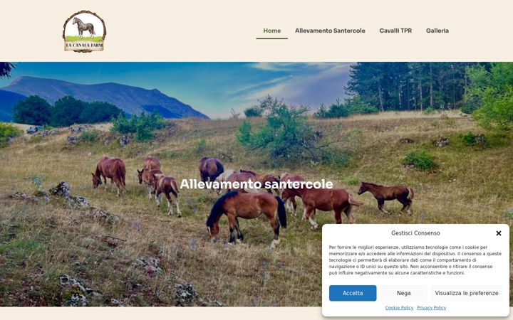 Screenshot of lacanala.it